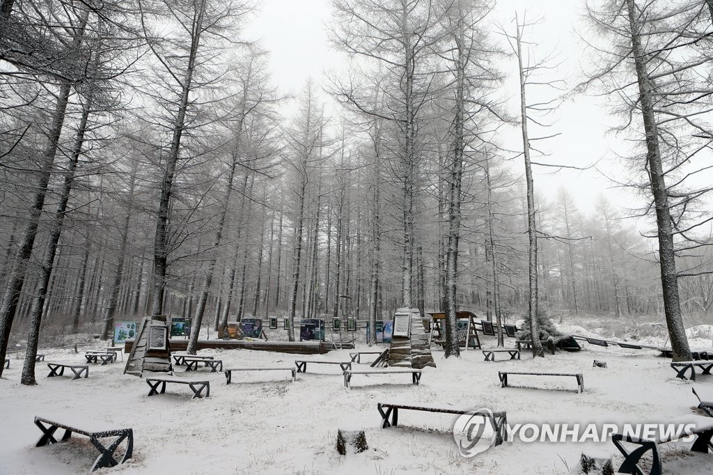 Calma entre la nieve Calma entre la nieve