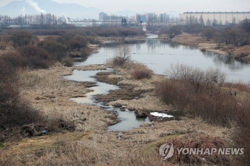 광주 황룡강 장록습지