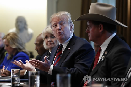 트럼프 "당장 국가 비상사태 선언 안 할 것"