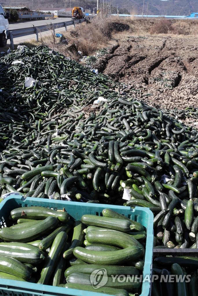 Discarding zucchinis Discarding zucchinis