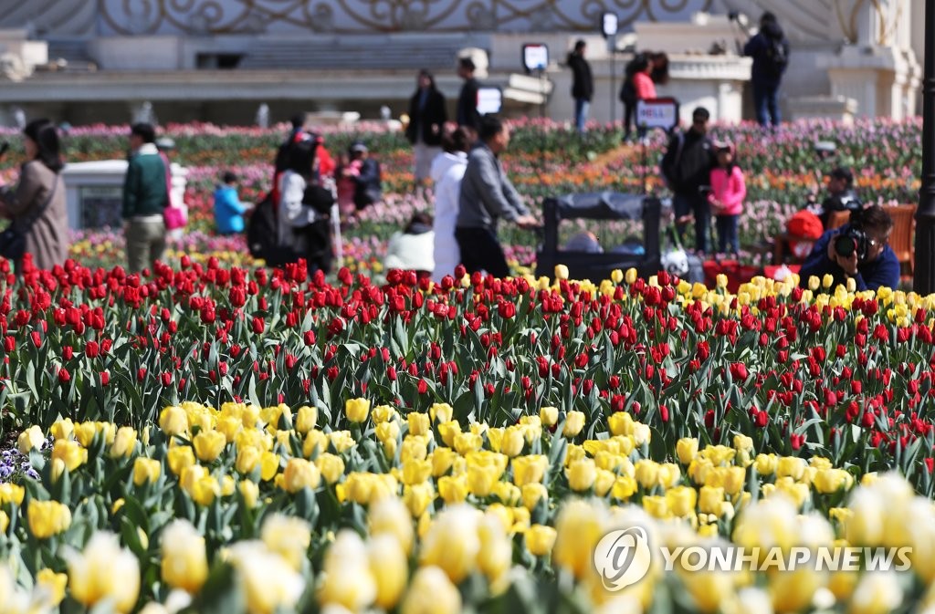 봄과 튤립
