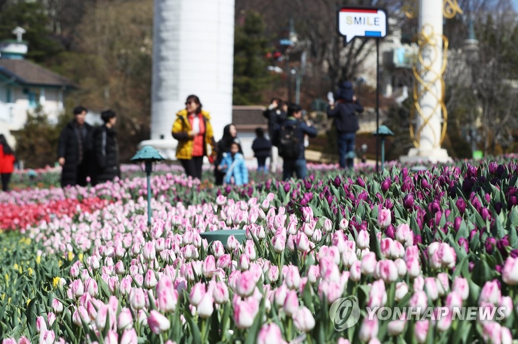봄이 왔어요