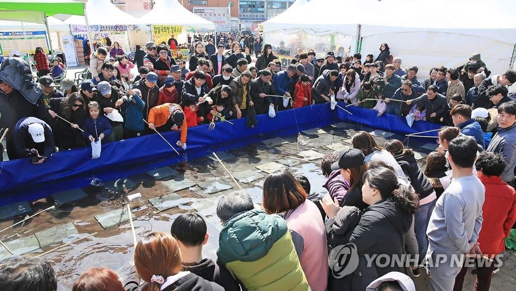 주꾸미 잡기에 몰린 인파