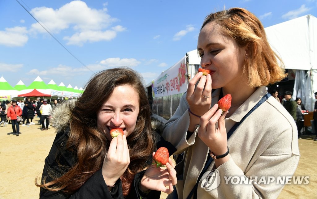 Festival de fraises Festival de fraises