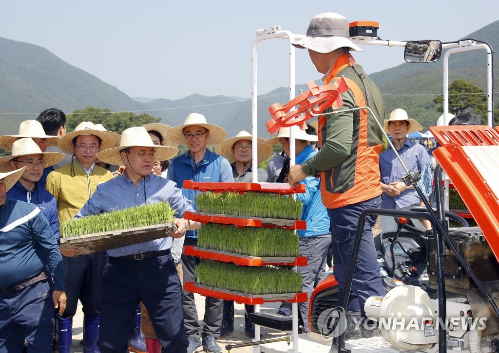 Moon experiences rice planting Moon experiences rice planting