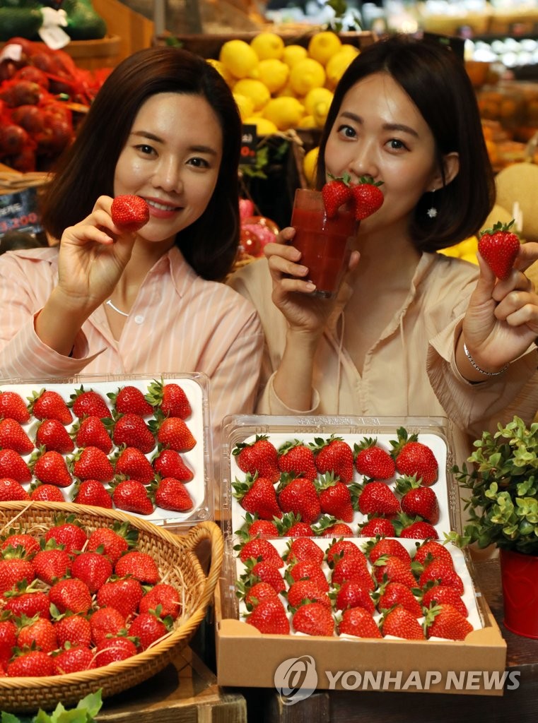 '한여름에도 딸기 먹어요!'