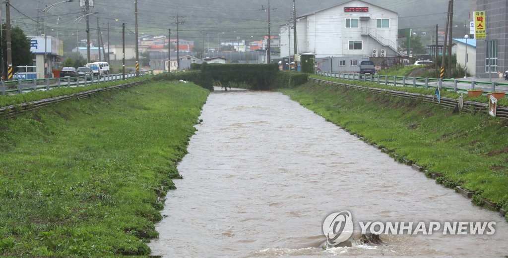 흙탕물로 변한 하천