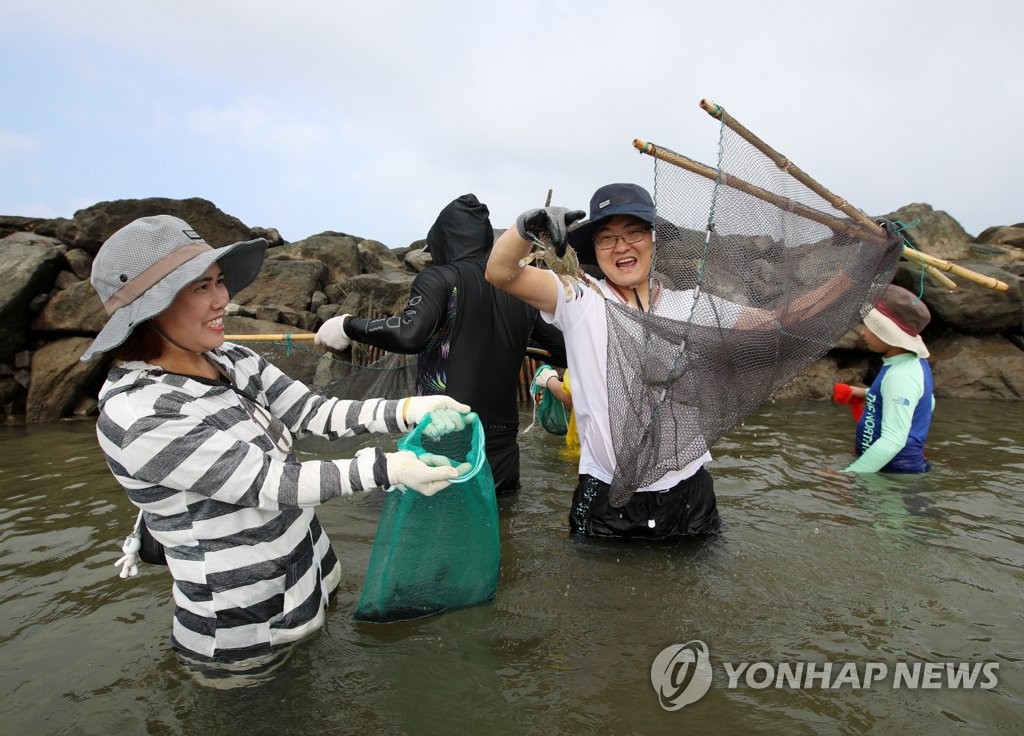 태안 청포대 독살서 물고기 잡는 관광객들