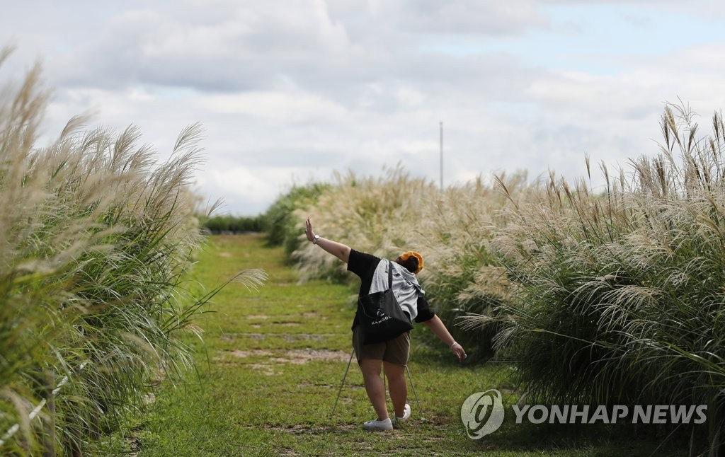 가을을 만끽하다