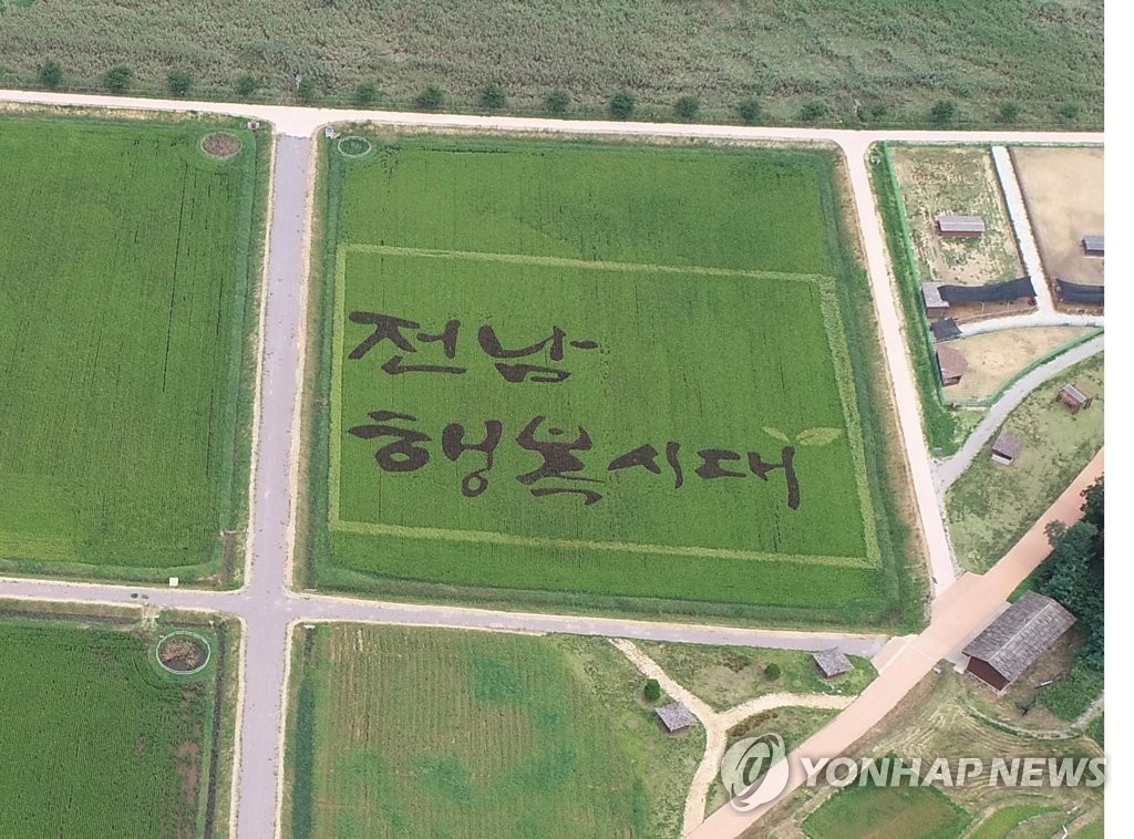 '전남 행복시대' 색깔 벼로 연출