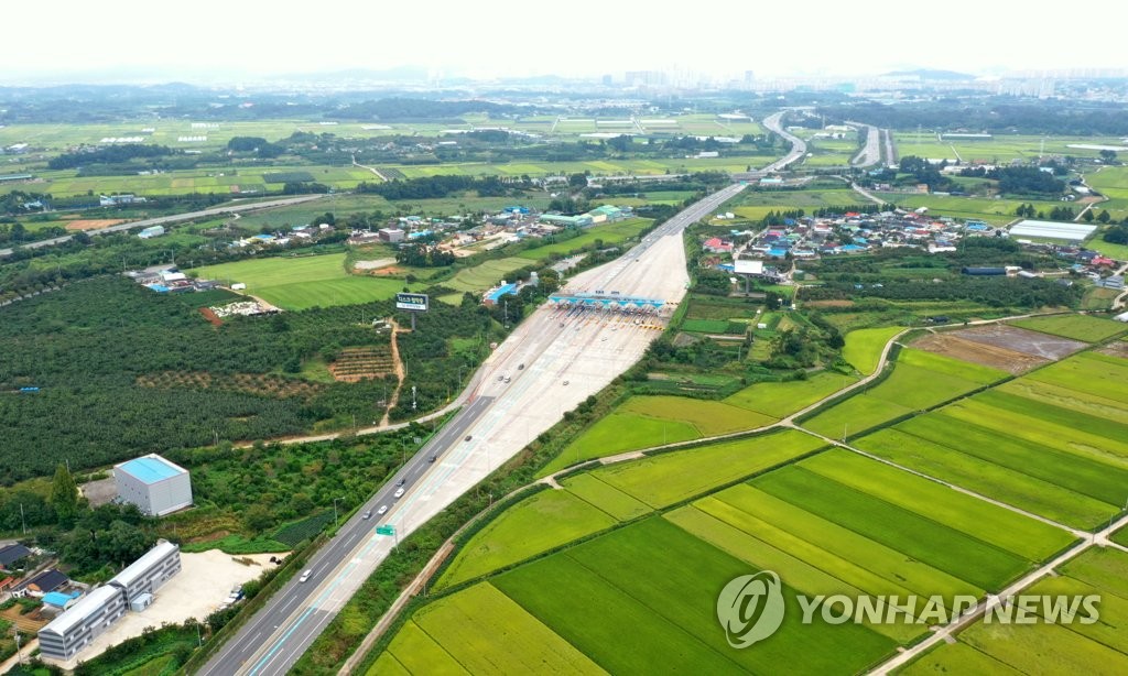 이른 추석, 푸르른 들녘