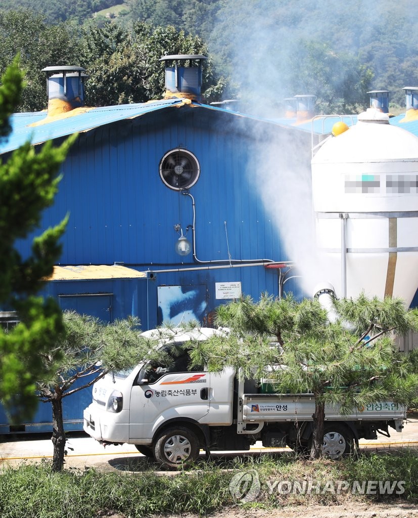 S. Korea hit by African swine fever S. Korea hit by African swine fever