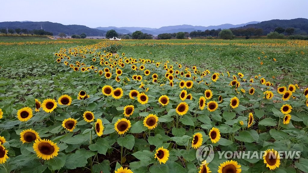 성큼 다가온 가을