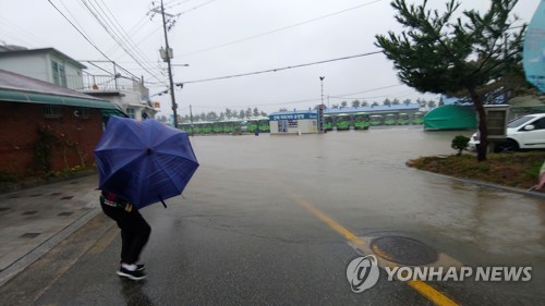 비바람