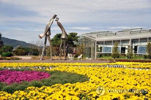 "국화향에 취해 볼까"