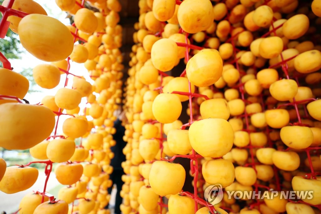 '곶감이 익어가는 계절'