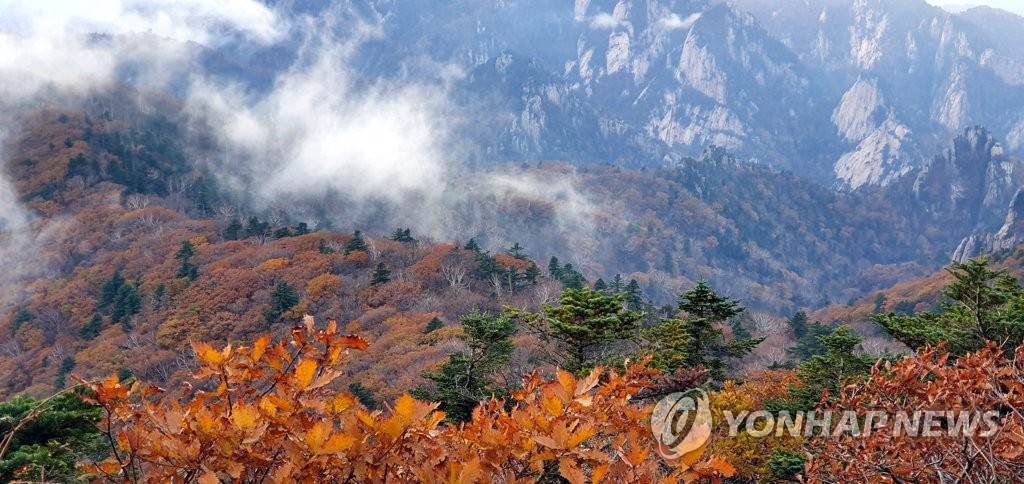 Mount Seorak with autumn leaves Mount Seorak with autumn leaves