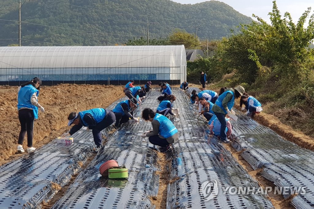 울산시공무원가족봉사단 농가 찾아 봉사