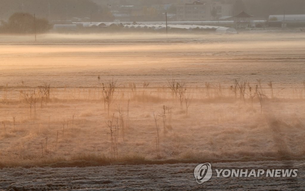 서리와 살얼음의 입동 들녘