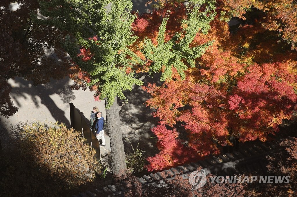 '아직은 오색찬란한 가을'