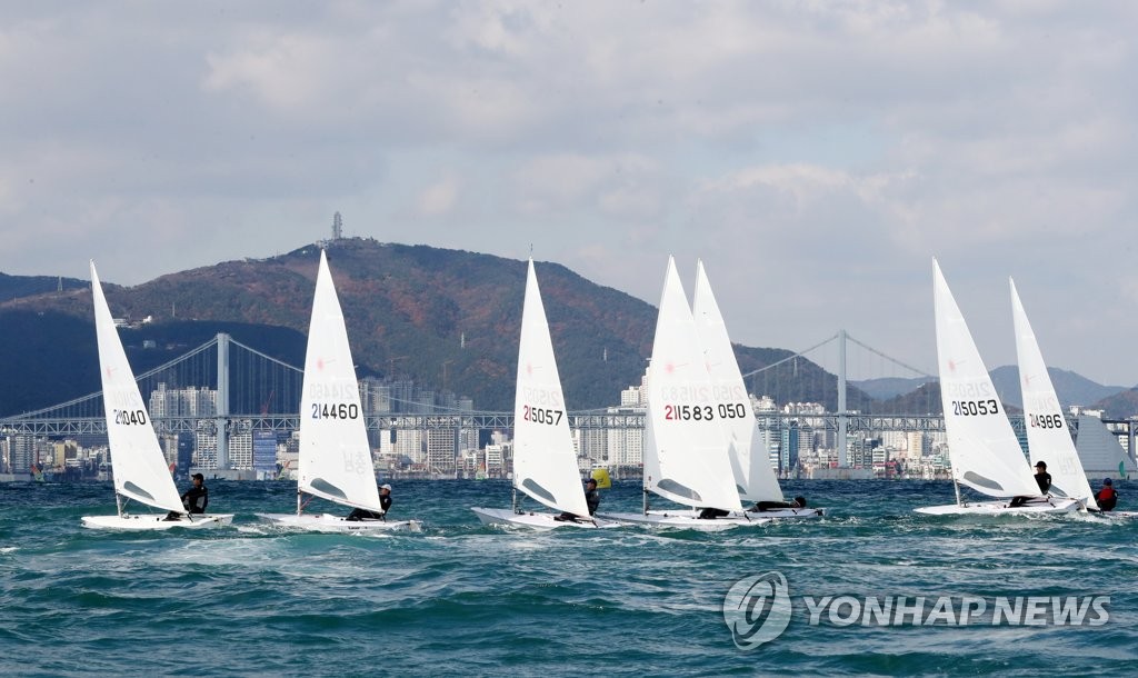 코리아 세일링 챔피언십 레이저급