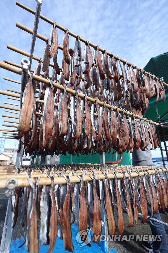 Dried saury Dried saury