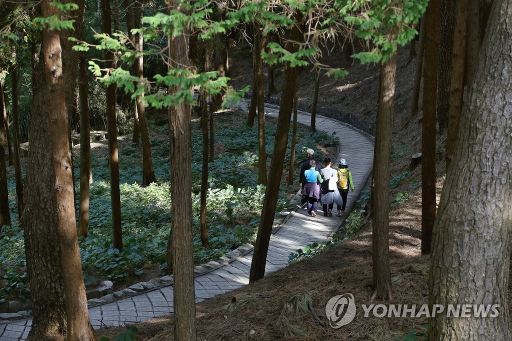 저도 숲 속 산책길
