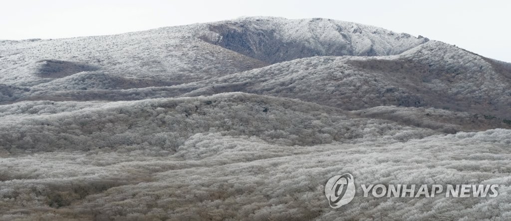 상고대 핀 한라산