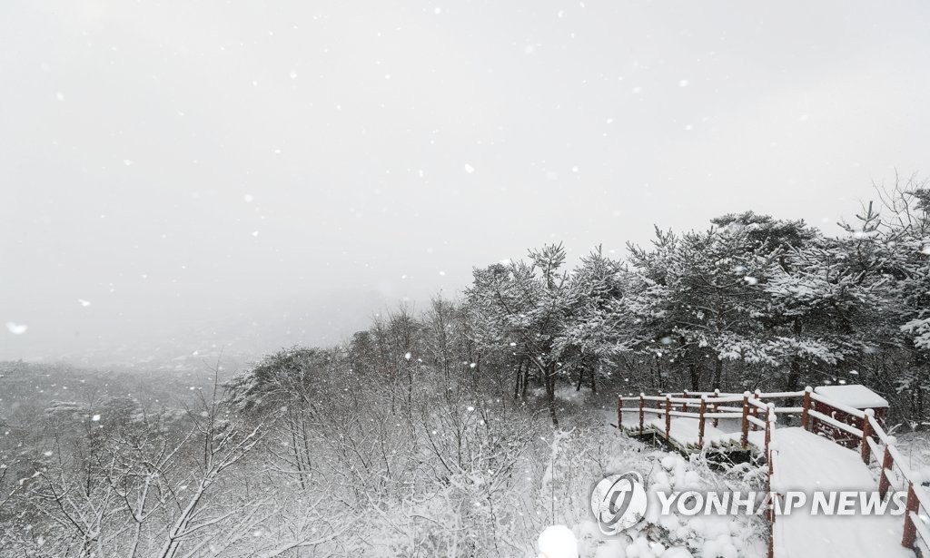 '진짜 겨울'