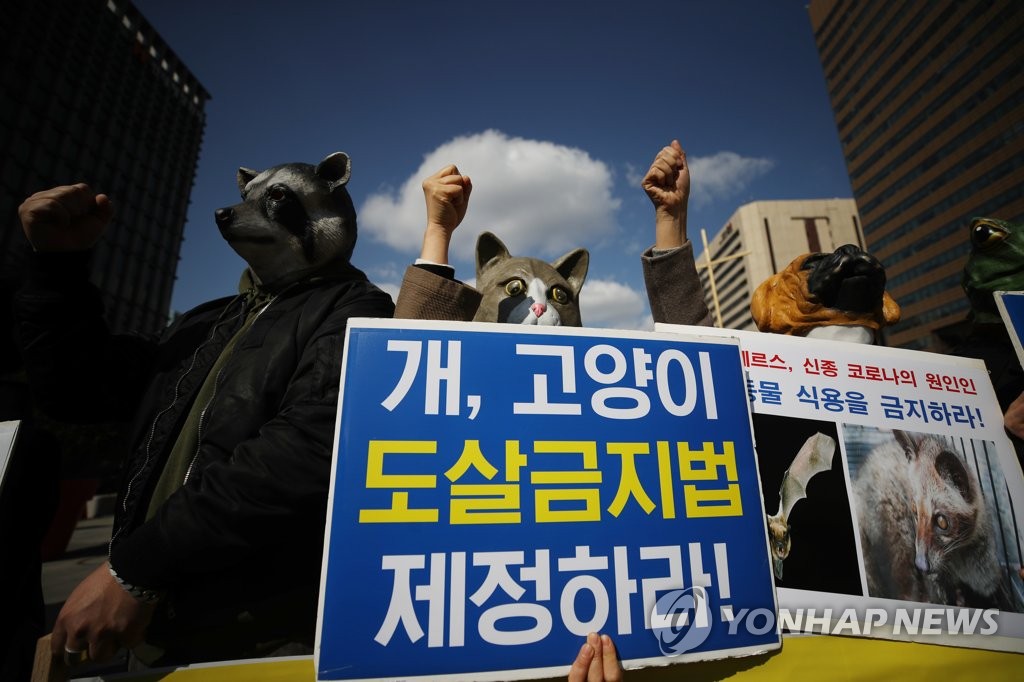 "한국도 야생동물과 개 식용 금지하라"