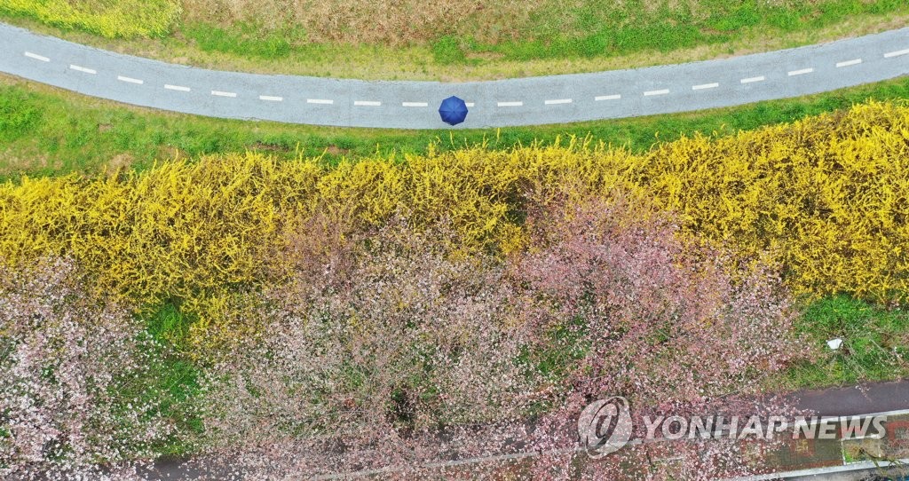 '봄날은 온다'