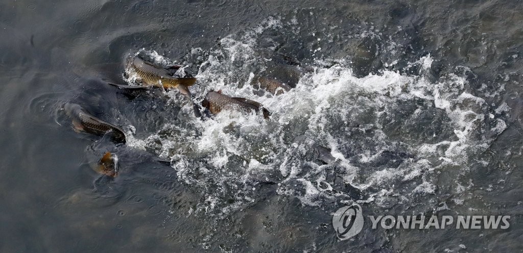 짝짓기의 계절