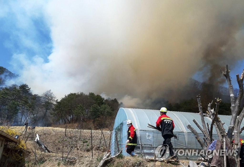영월 주천면 야산서 불