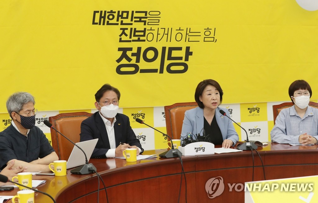 발언하는 심상정 대표