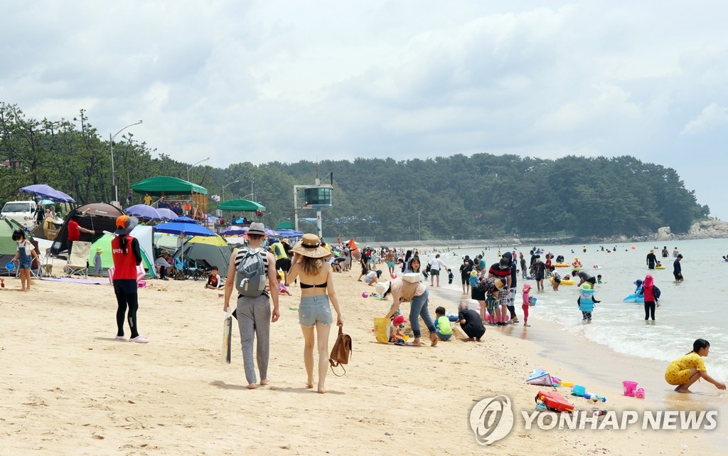 서해안 최대 대천해수욕장 개장