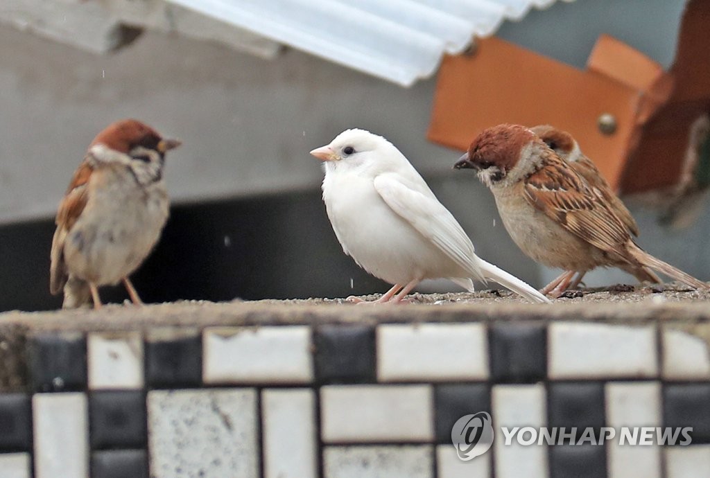 '누구세요?'