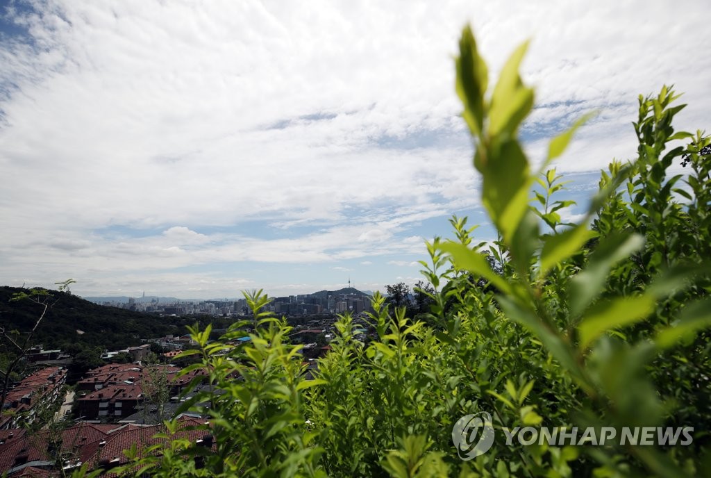 푸릇푸릇한 여름 하늘