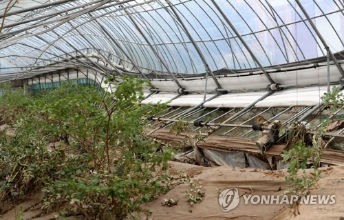 토사 쌓이고 지붕도 무너진 비닐하우스