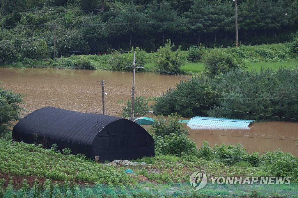 침수된 임진강변 농경지