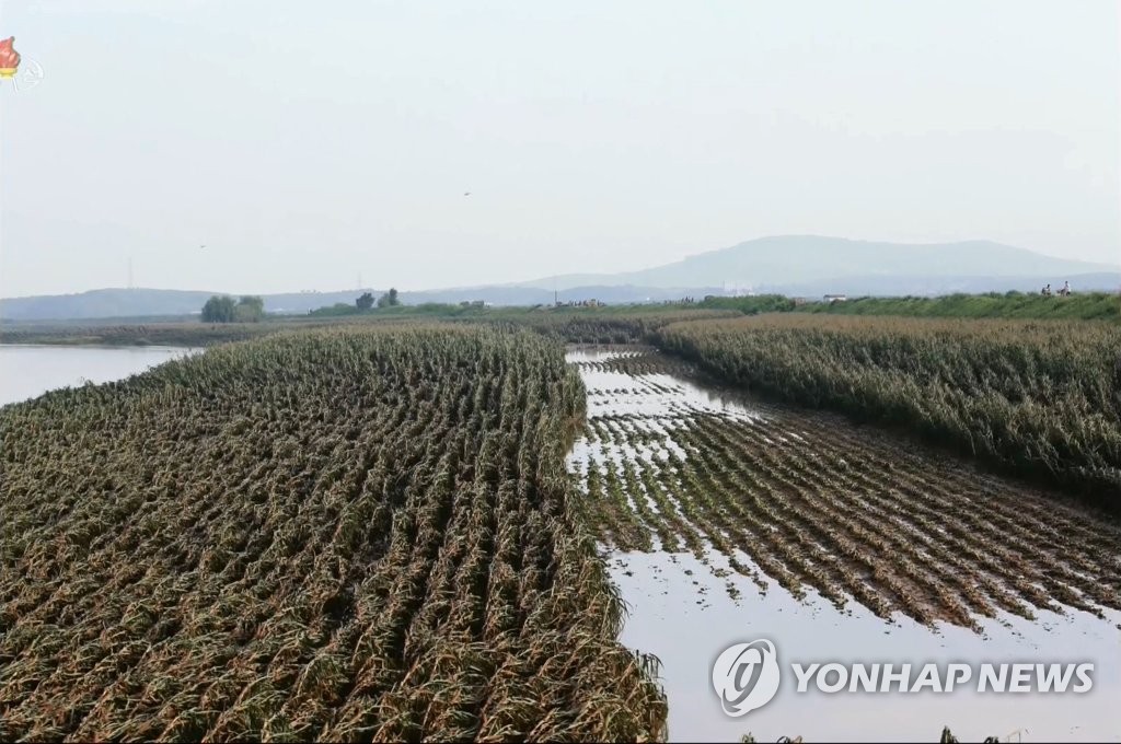 물바다 된 황해북도의 논밭