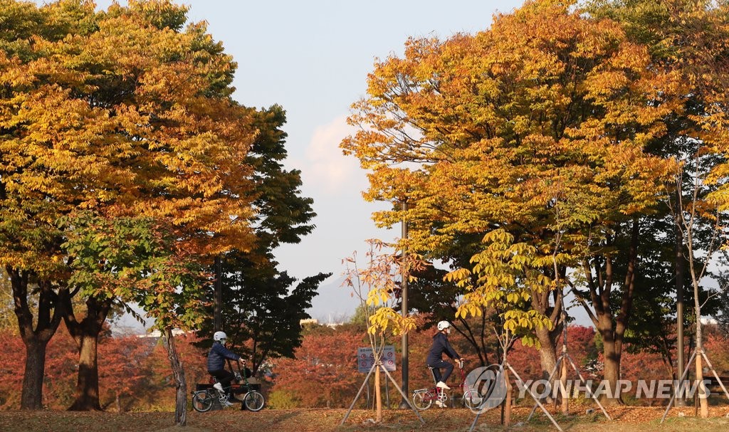짙어가는 가을