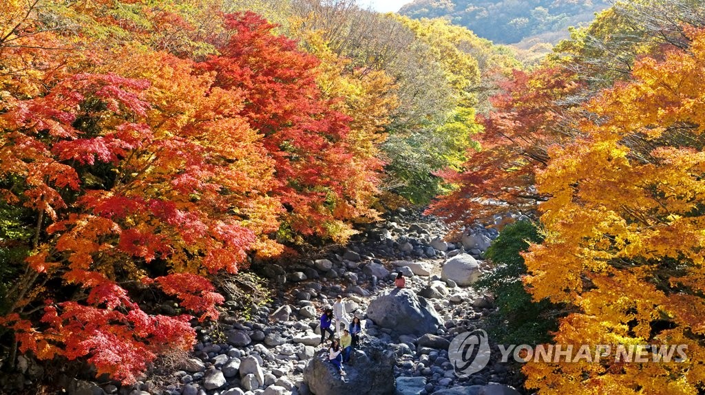 Automne à Jeju Automne à Jeju