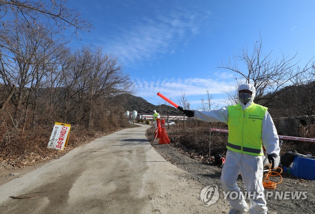 Avian flu outbreak in southeastern S. Korea Avian flu outbreak in southeastern S. Korea