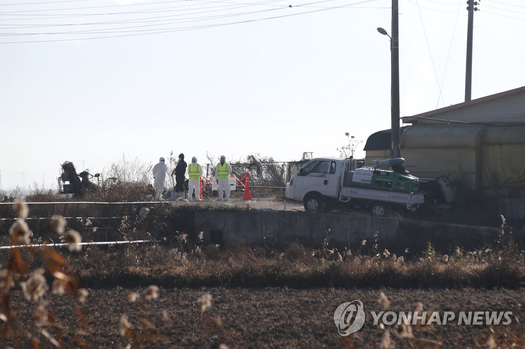 전남서도 조류인플루엔자 발생, 긴장하는 방역당국