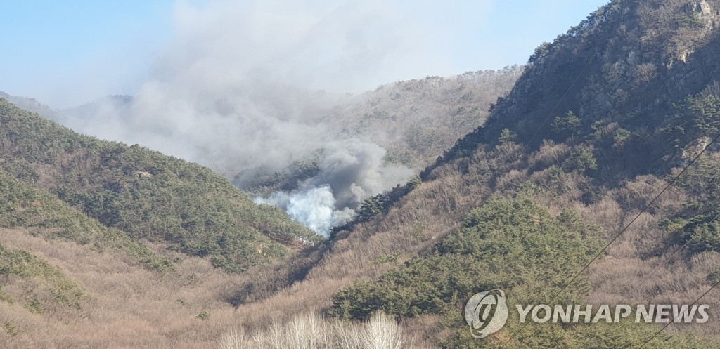 밀양 야산 산불