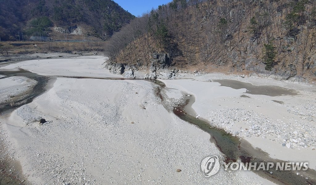 실개천으로 변한 강릉 오봉저수지 상류