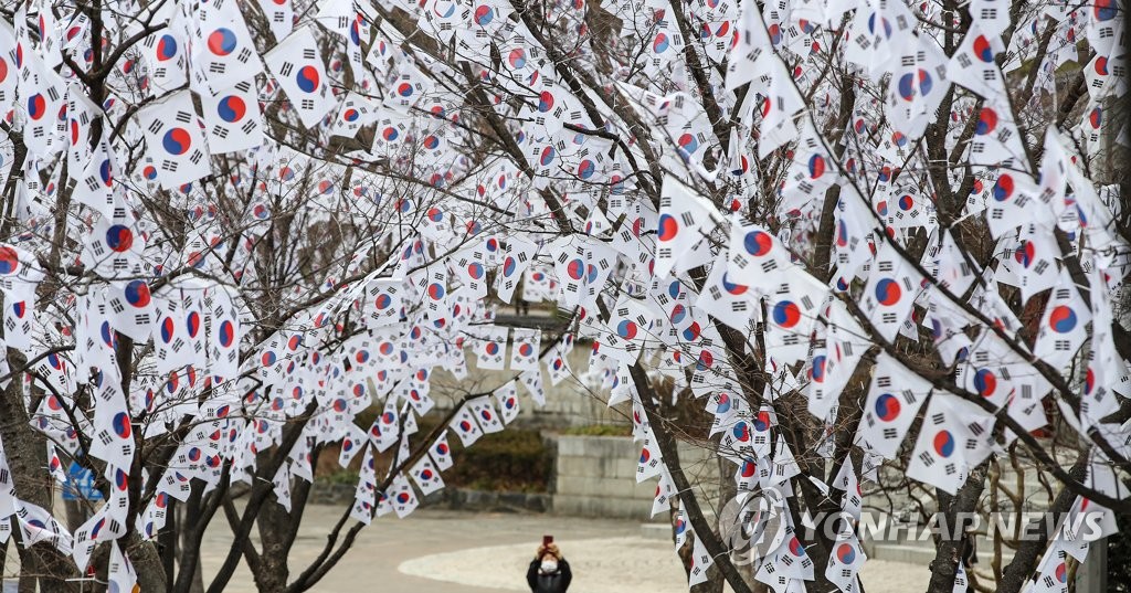 Taegeukgi decorated trees Taegeukgi decorated trees