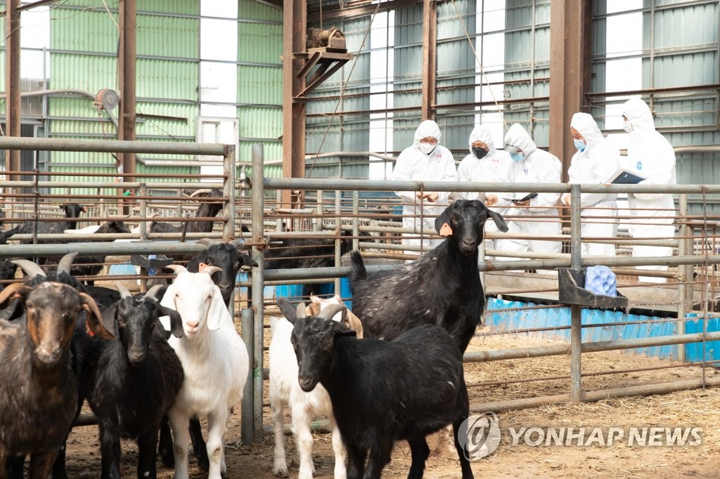 축산 현장 맞춤형 종합 컨설팅