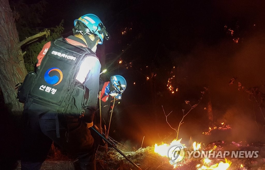 대전 유성구 산불, 산림당국 주불 진화 완료