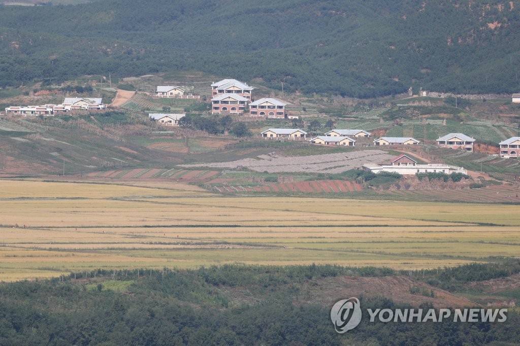 Yellow paddy fields in N. Korea Yellow paddy fields in N. Korea
